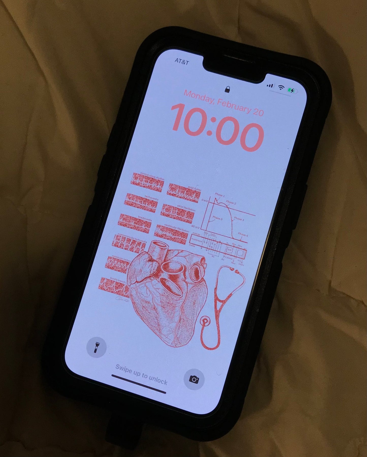Cardiology/Heart Anatomy iPhone Wallpaper & Background (WHITE BACKGROUND)