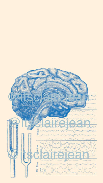 Neurology/Brain Anatomy iPhone Wallpaper & Background (LIGHT TAN BACKGROUND)