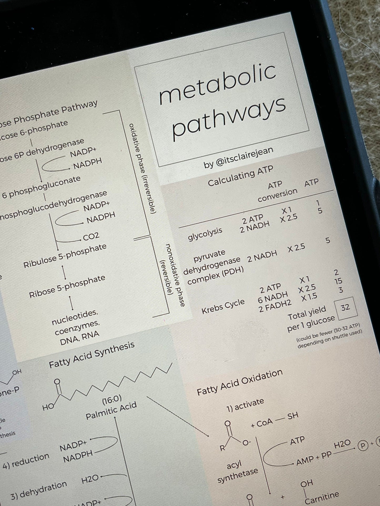 ALL Metabolic Pathways on the MCAT Diagram