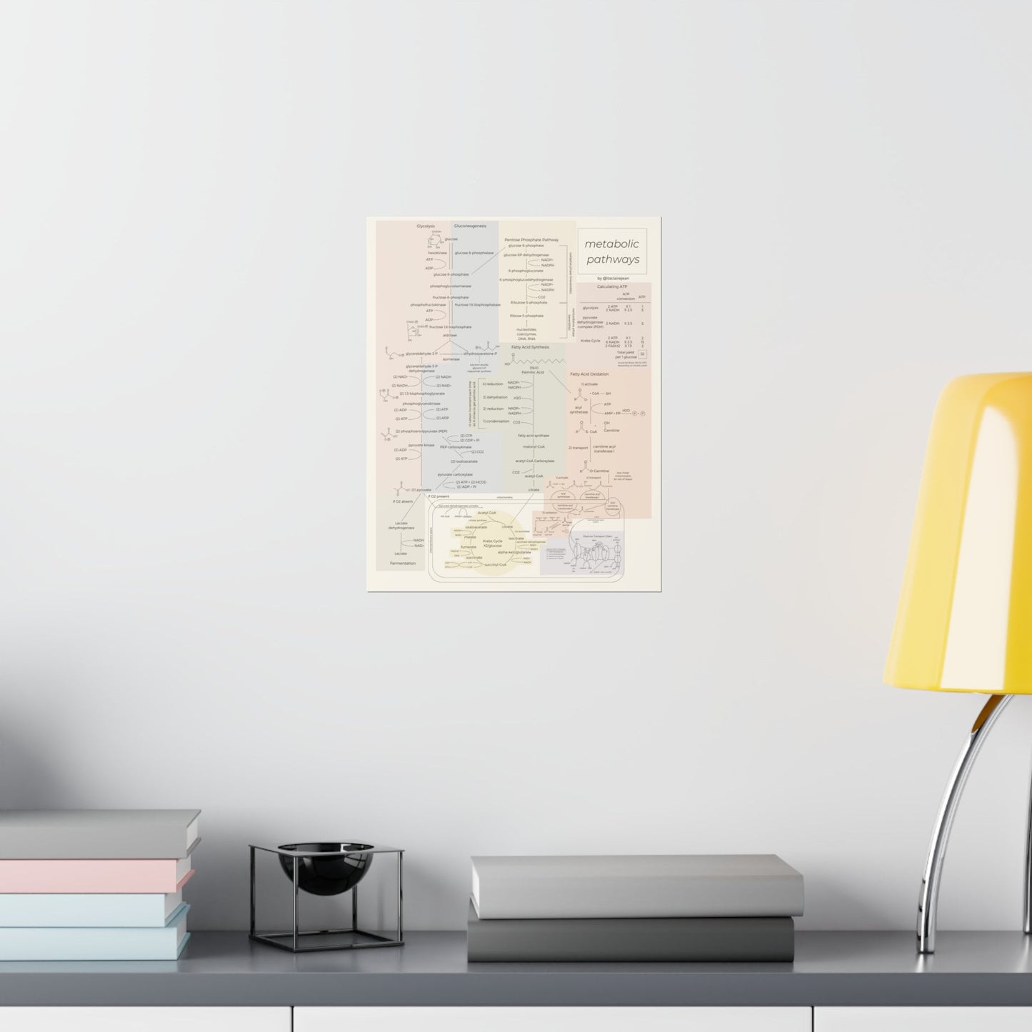 All Metabolic Pathways Physical Poster