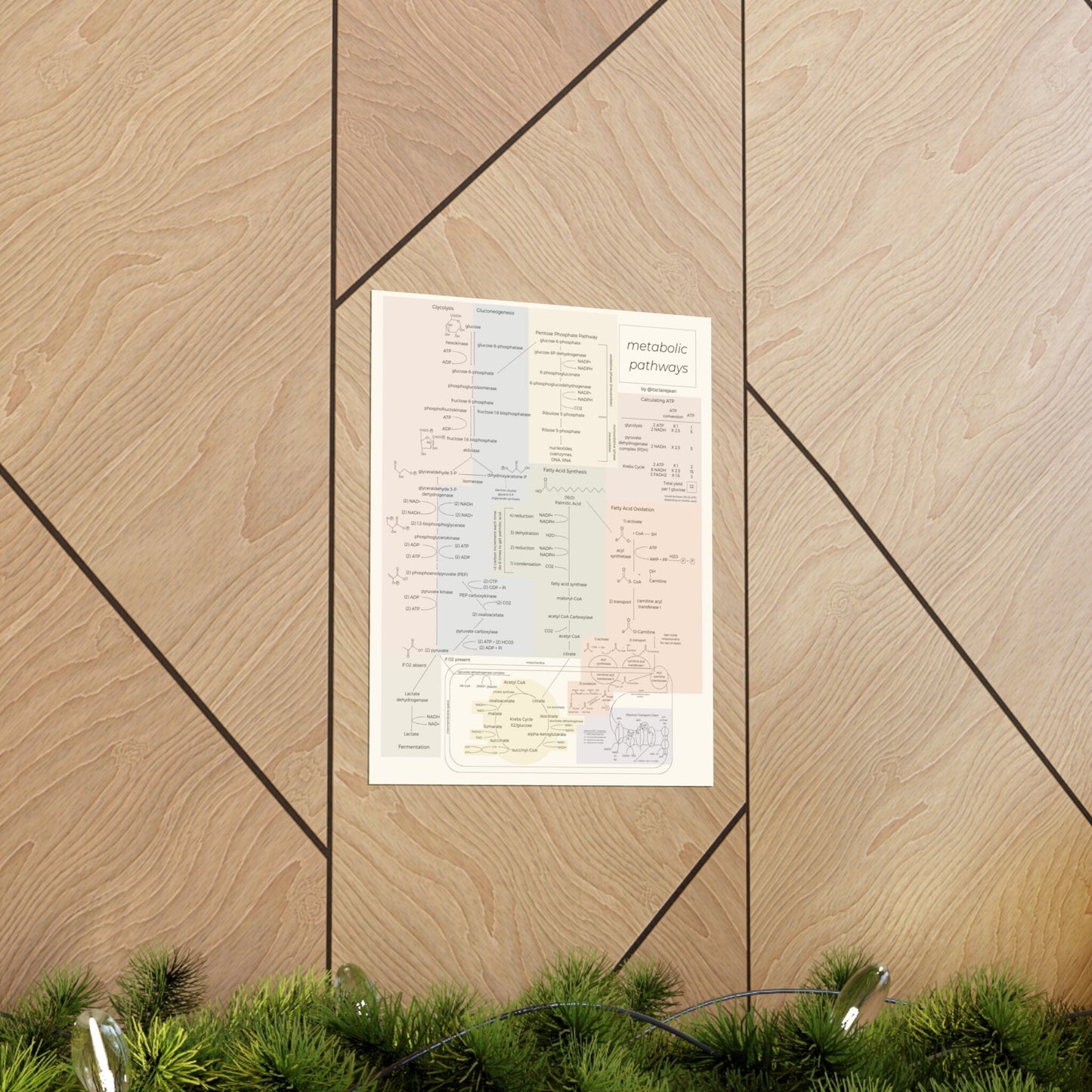 All Metabolic Pathways Physical Poster