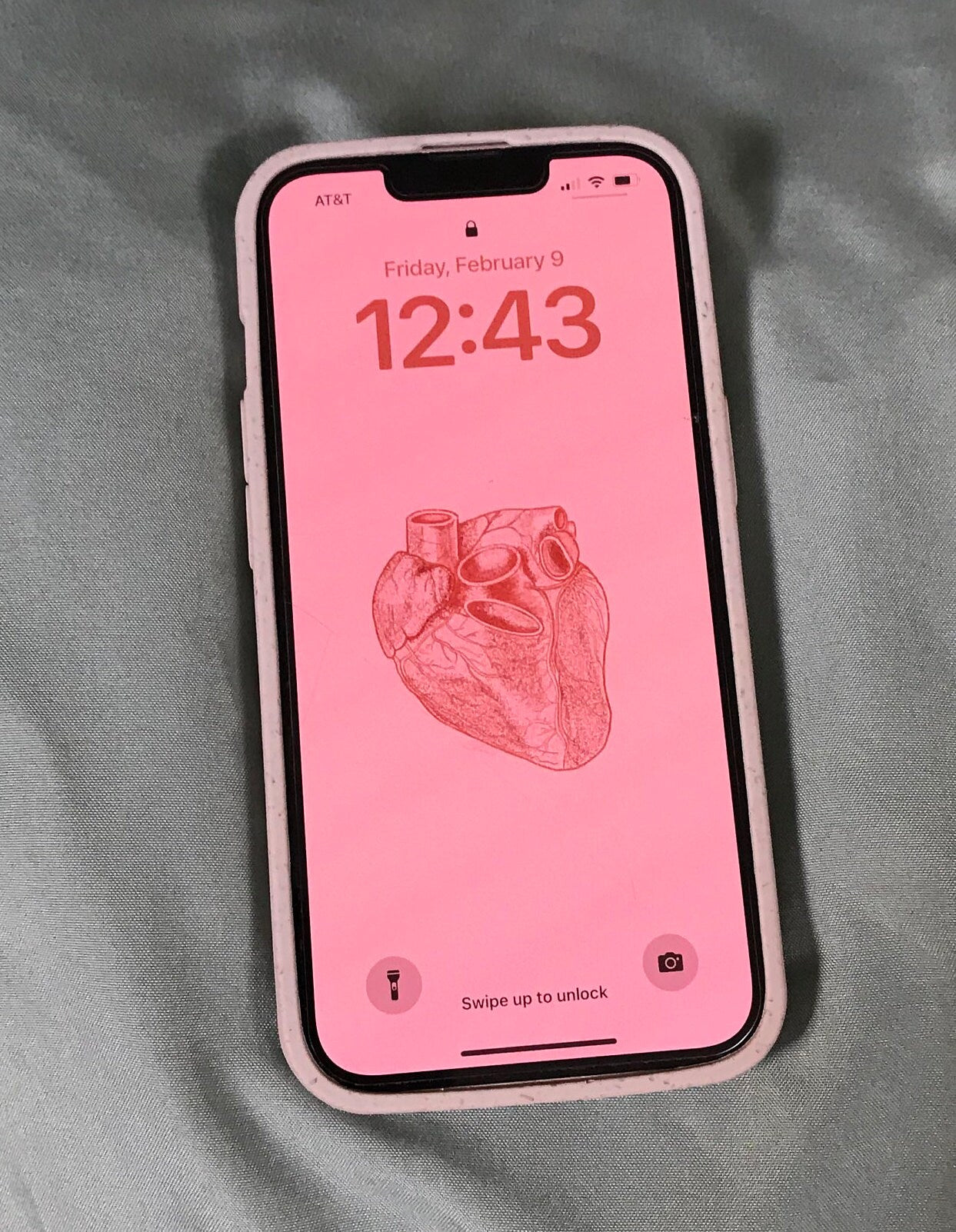 LIMITED EDITION: Valentine's Day Anatomical Heart Wallpaper - PINK Background